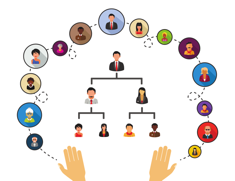Org structure visualization